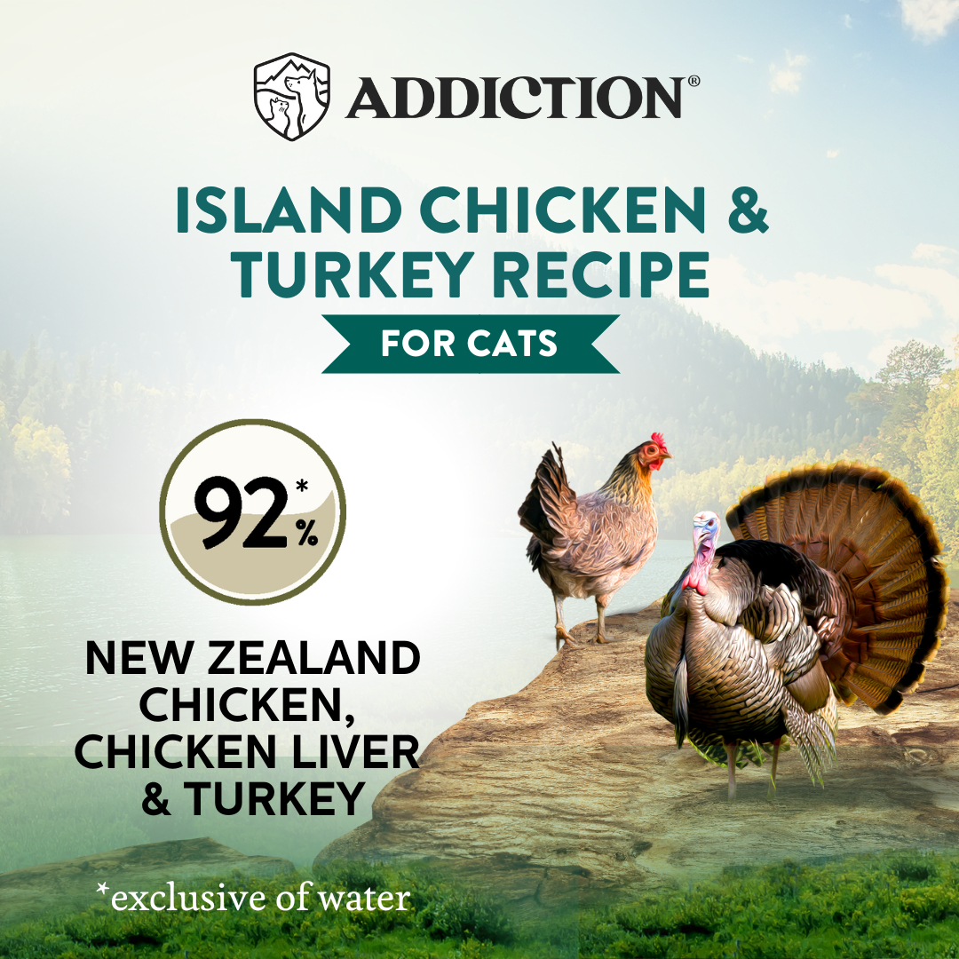 Wild Islands Chicken & Turkey Cat Canned 85g