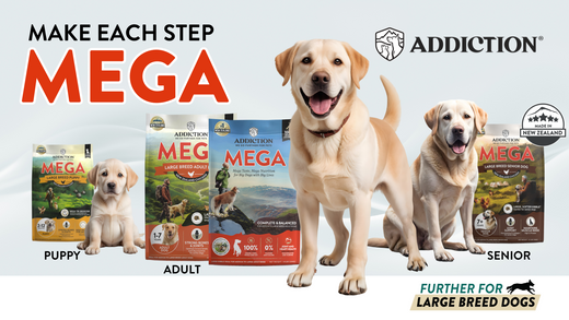 The MEGA Difference: A Guide to Addiction’s Large-Breed Dog Food
