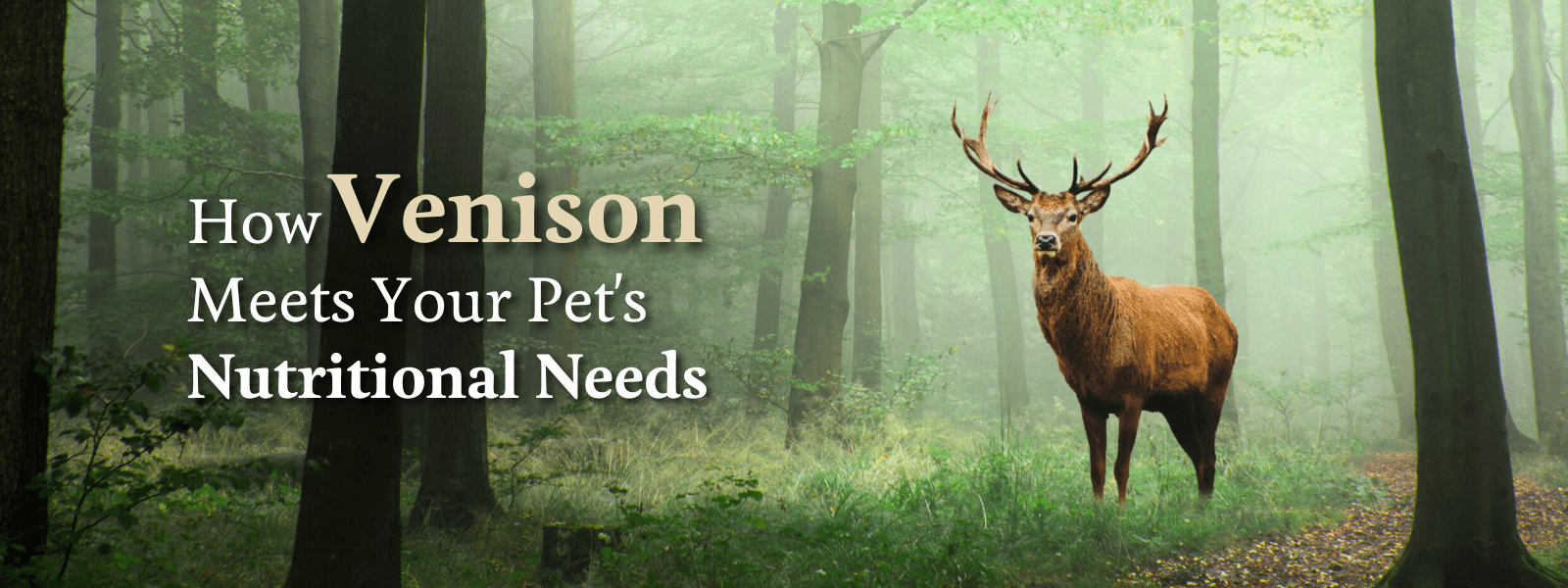 How Venison Meets your Pet's Needs