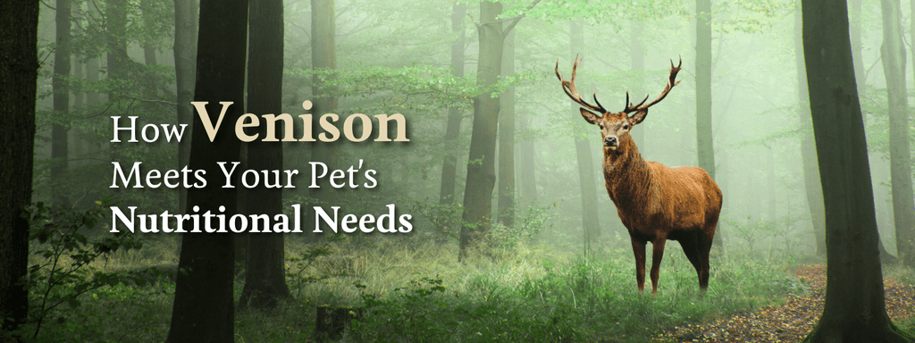 How Venison Meets your Pet's Needs