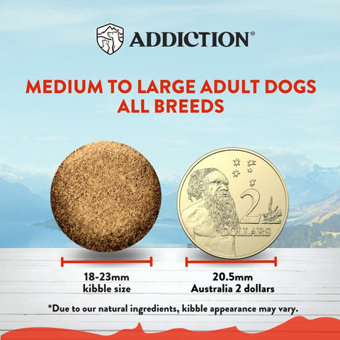 MEGA Lamb & Beef Dry Dog food for Medium to Large Dogs